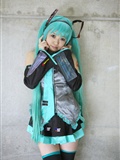 [Cosplay]  Vocaloid - Sexy Hatsune Miku(75)